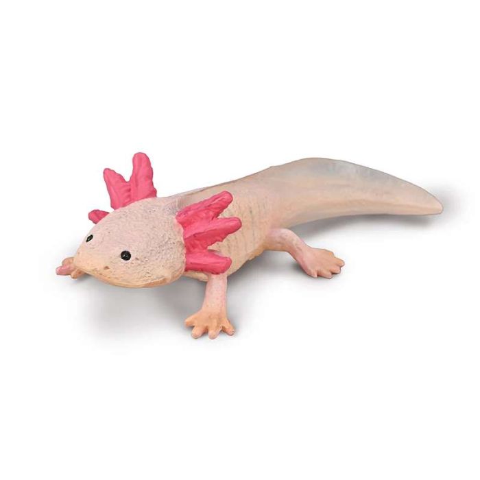 Axolotl by Collecta - 0 Axolotl by Collecta - 0