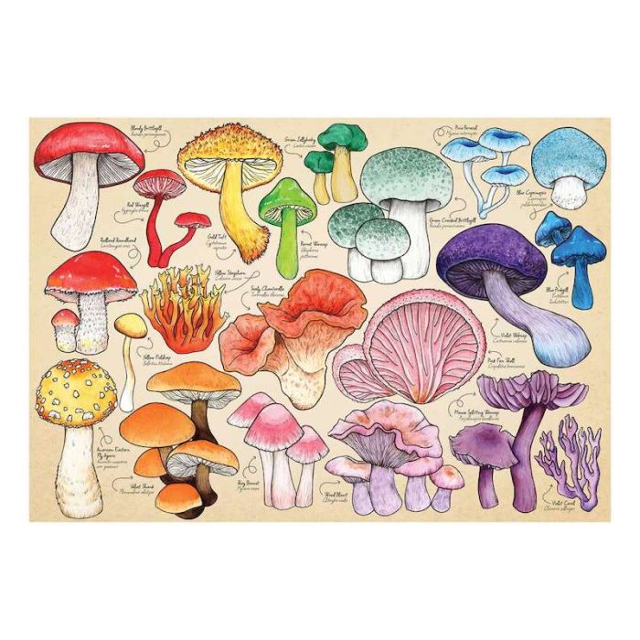 Mushroom Mania 1000 Pce Puzzle by House of Puzzles - 0