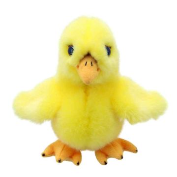 Chick Mini Wilberry - 0